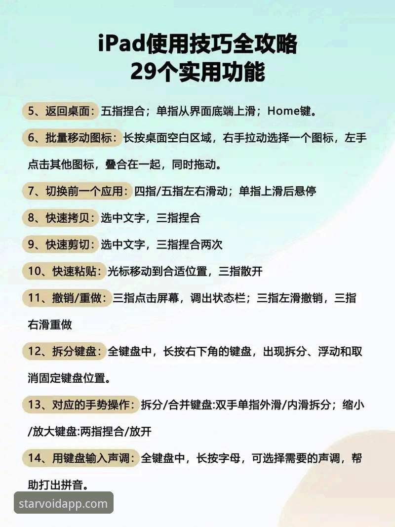 星空娱乐平台APP使用教程：从下载到掌握直播与体育功能的完整指南